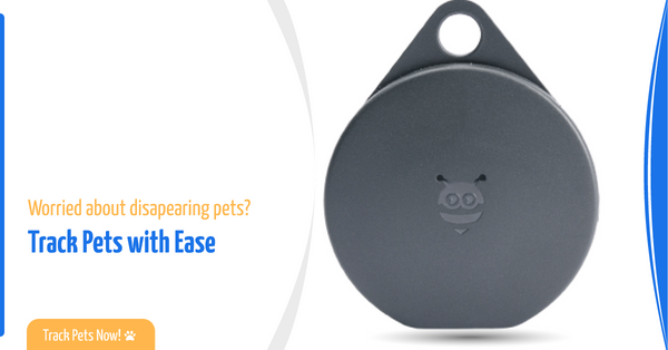 Pebblebee Trackers - Ultimate Pet Tracking Gear for Pet Parents