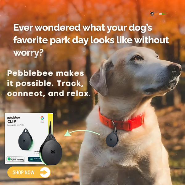 Never Lose Your Pet Again: Addressing the Pain, Frustration, and Desires of Pet Owners with Pebblebee’s Smart Pet Trackers